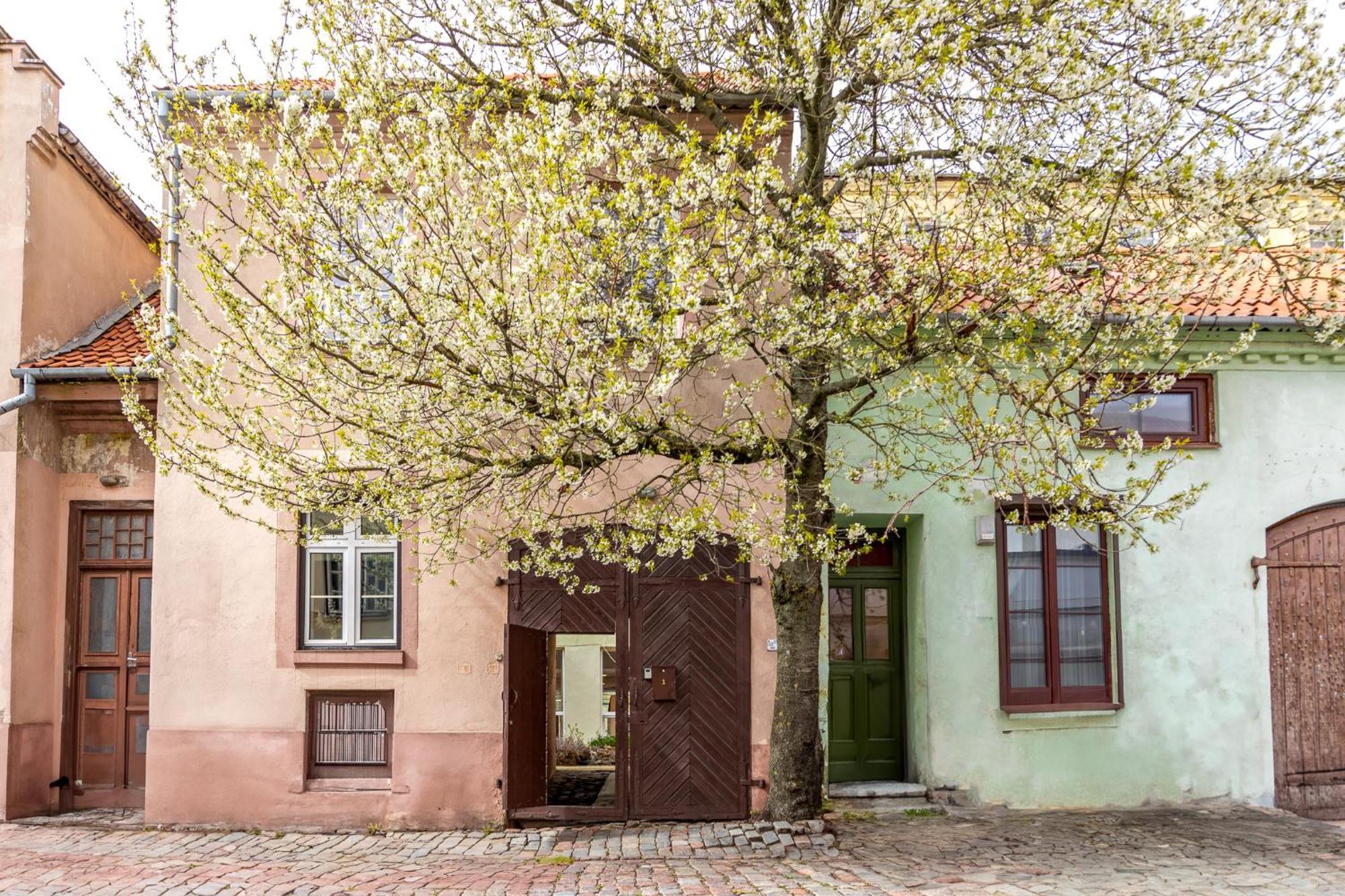 In The Heart Of The Old Town Vip Apartment Klaipeda Bagian luar foto